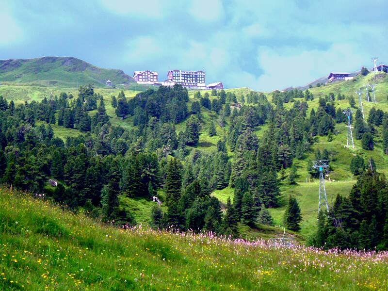 02_2005_0717Grindelwald2Luetch0004