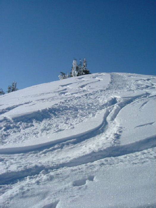 03_2005_0226Wiriehorn0002