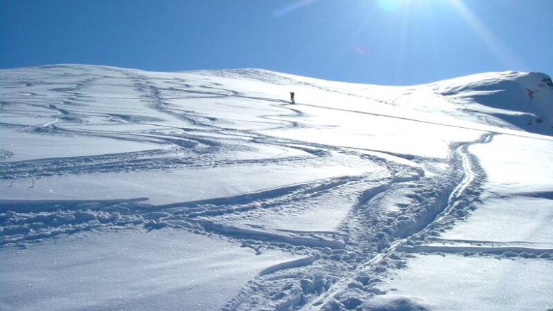 2005_0226Wiriehorn0006