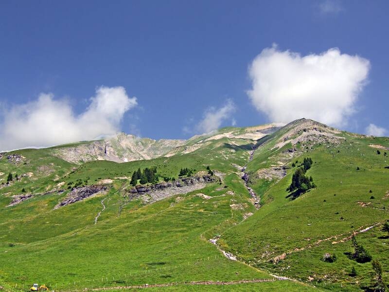 2006_0701Allmenalp0074
