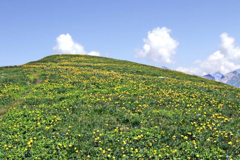 2006_0701Allmenalp0115