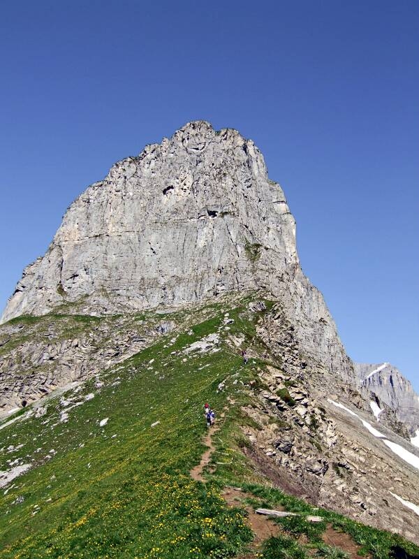 2006_0625Braunwald0003