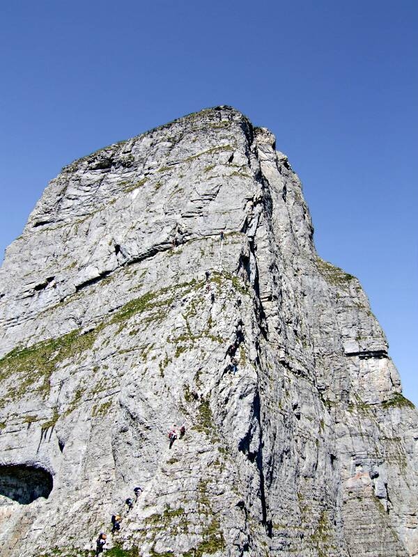 2006_0625Braunwald0017