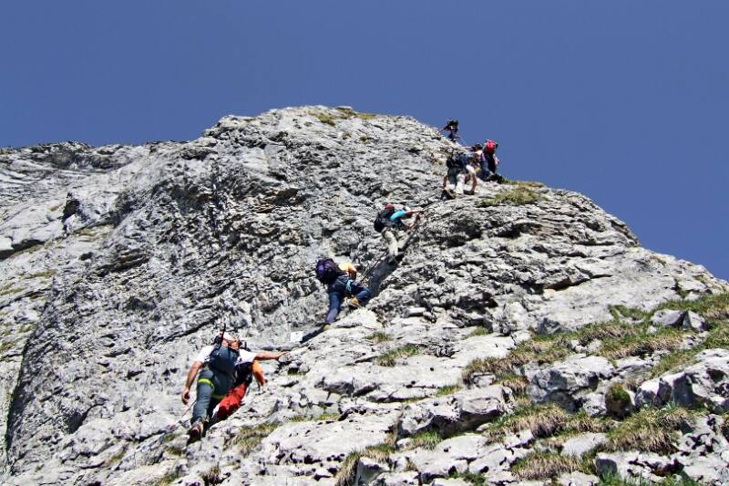 2006_0625Braunwald0020