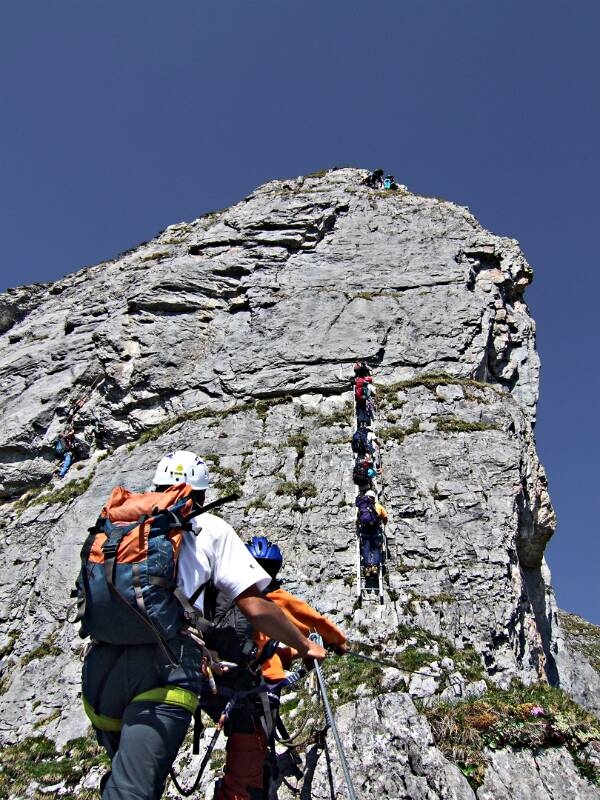 2006_0625Braunwald0021
