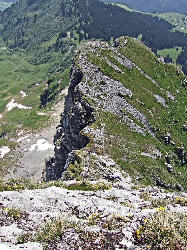 2006_0625Braunwald0026
