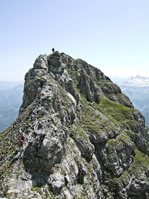 2006_0625Braunwald0045
