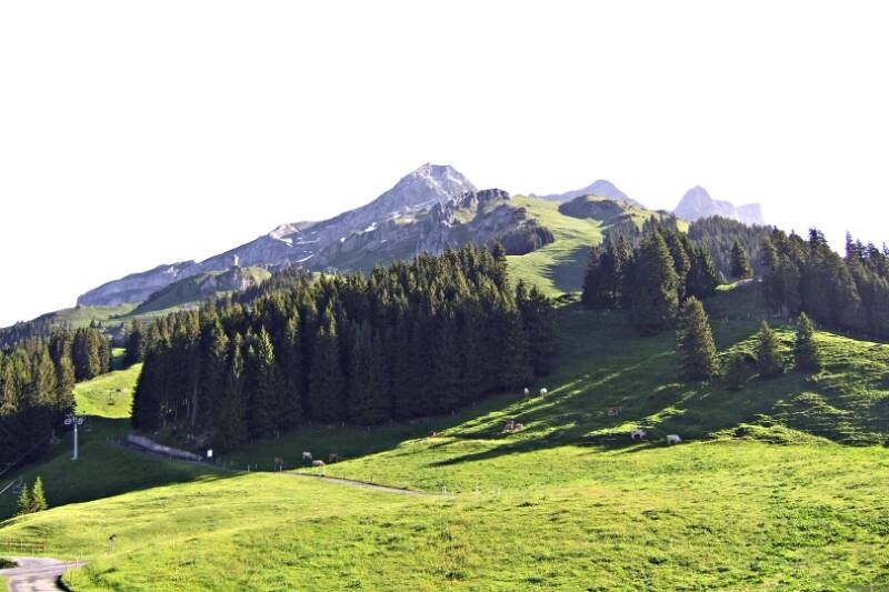 2006_0618Brunni-Rigidal0001