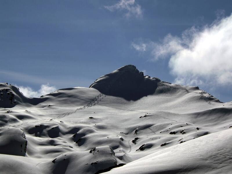 2006_0403Cristallina0039