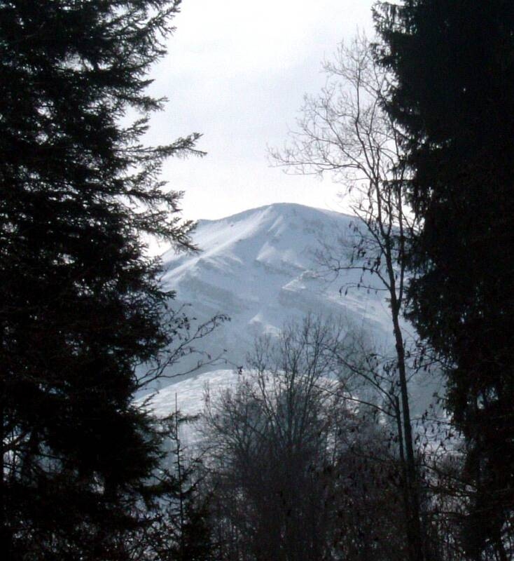 02_2006_0318Wiriehorn0069