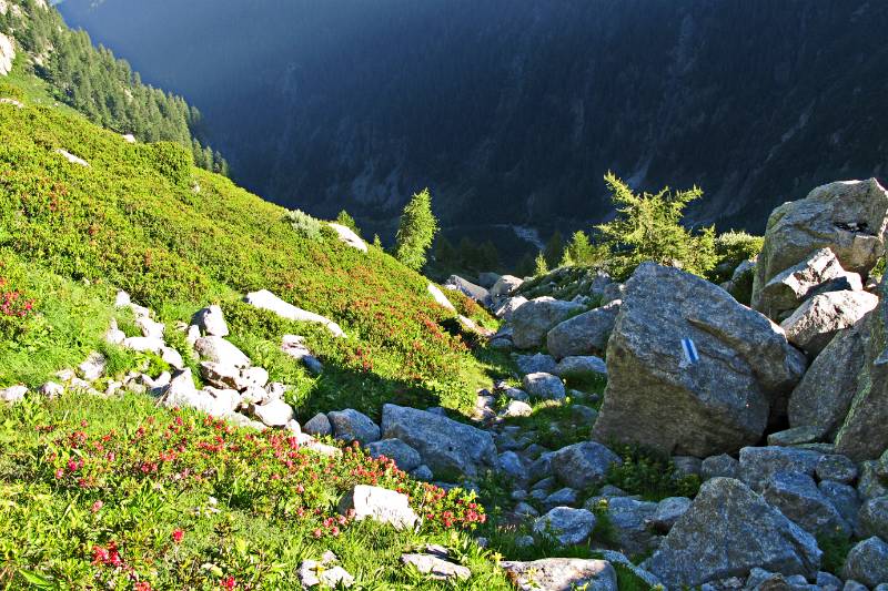Entlang dem Wanderweg im Bondascatal. Links ist der Hang von Viale