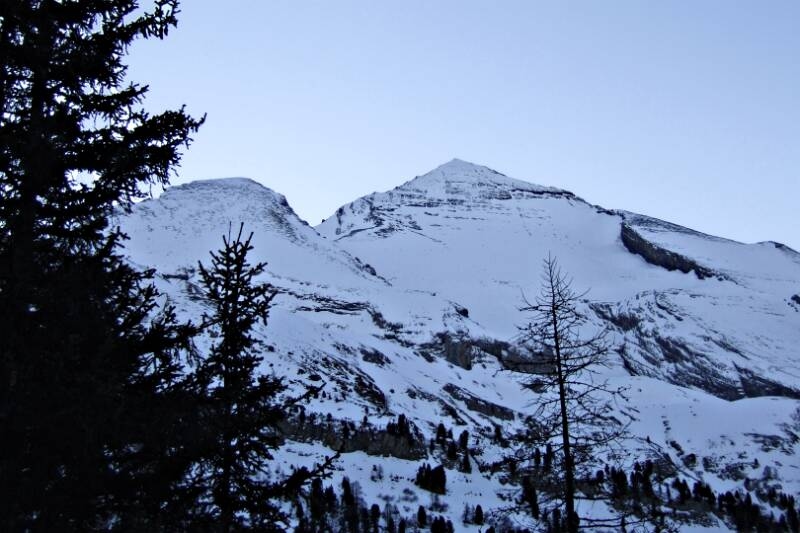 2007_0204RoterTotz0068