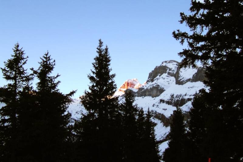 2007_0204RoterTotz0070