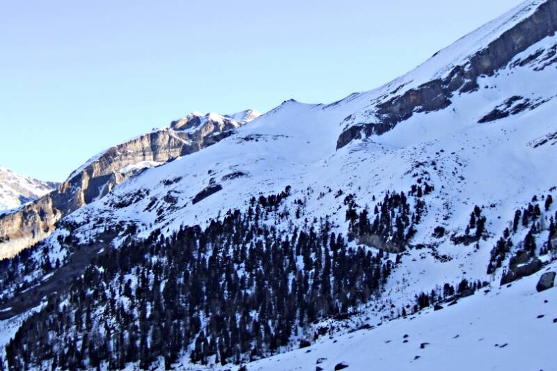 2007_0204RoterTotz0072