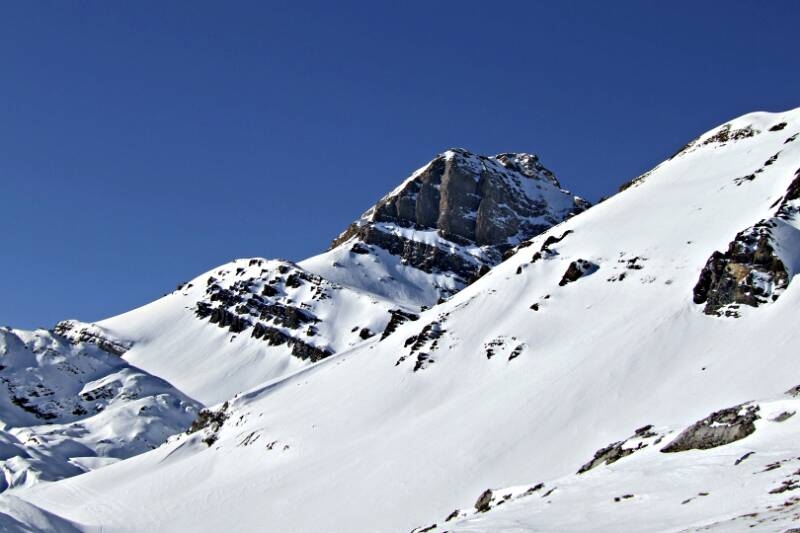 2007_0204RoterTotz0082