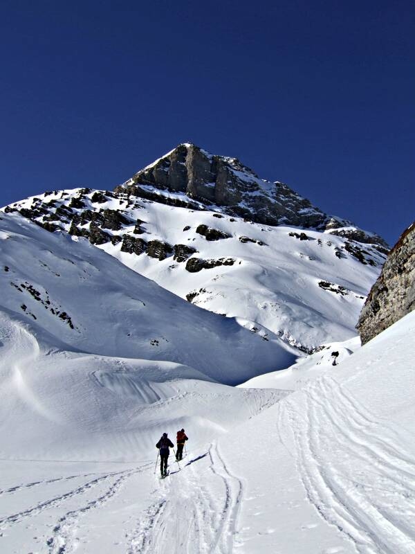 2007_0204RoterTotz0086