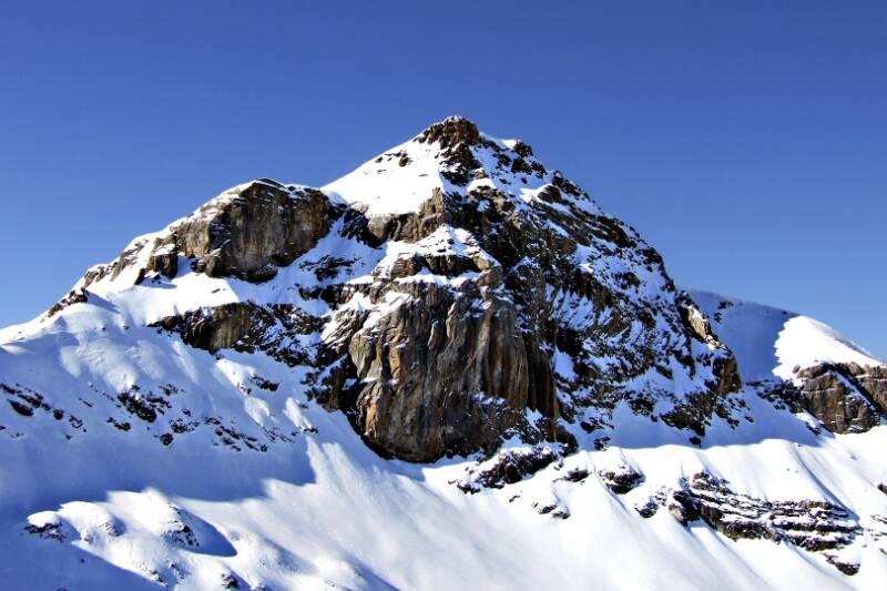 2007_0204RoterTotz0090