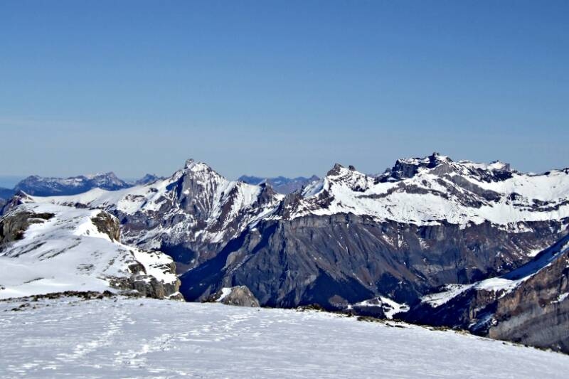2007_0204RoterTotz0106
