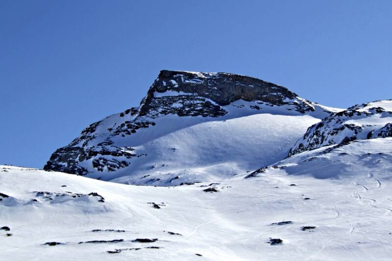 2007_0204RoterTotz0132