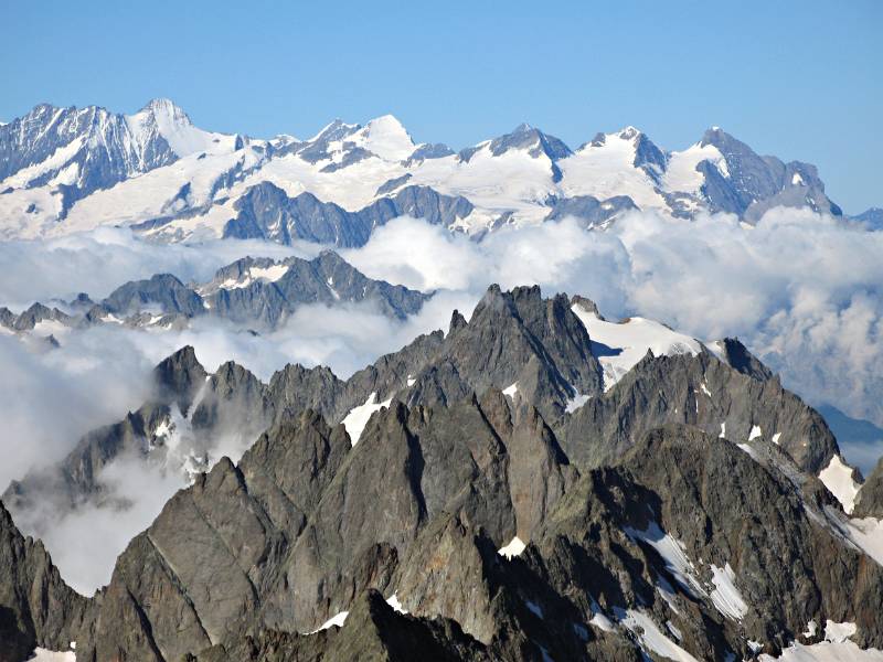 Berner Alpen. Im Vordegrund sind Fünffingerstöck zu sehen