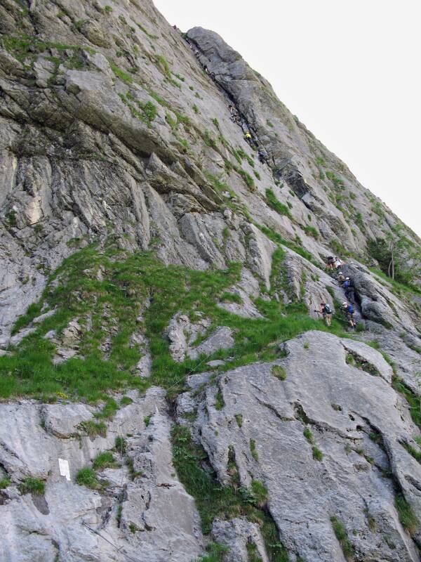080621-Fuerenwand-_2286