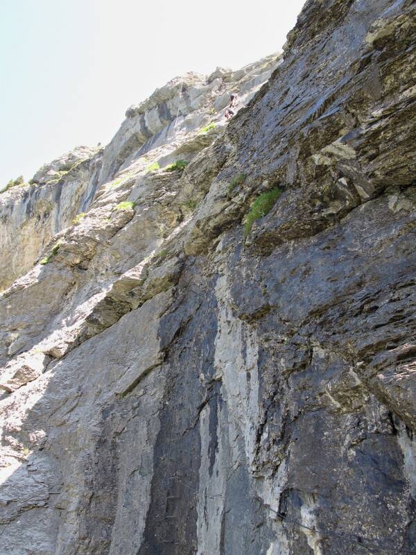 080621-Fuerenwand-_2302