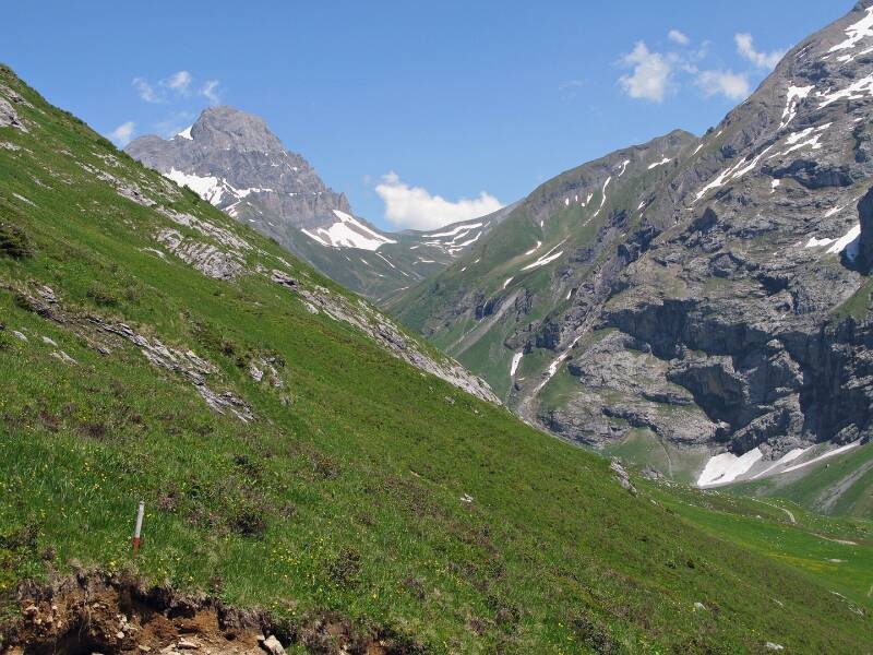 080621-Fuerenwand-_2326