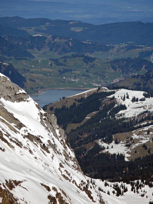 080420Mutteristock_1540