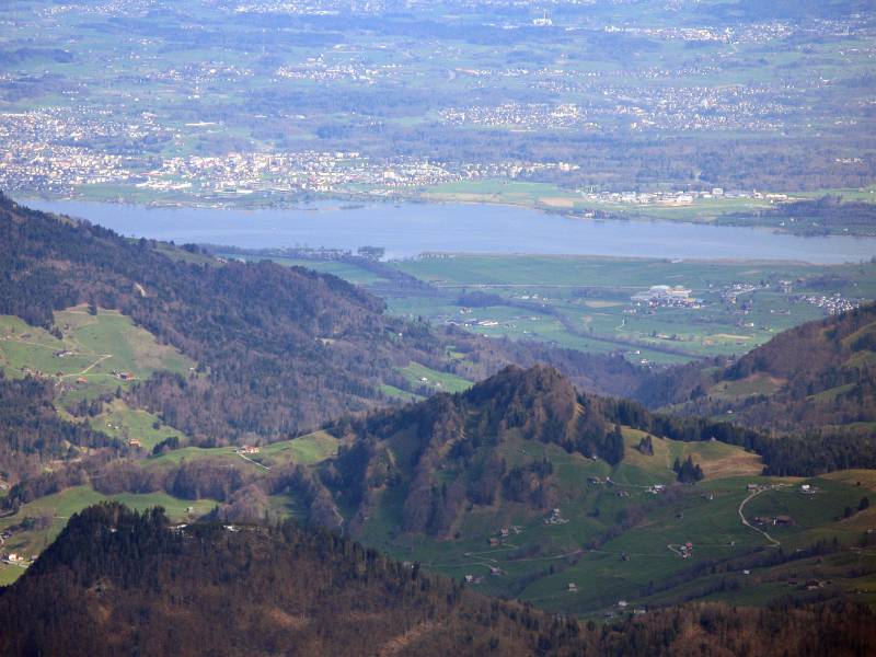 Zürisee