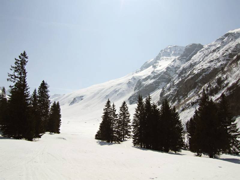 Blick zurück auf Albristhorn
