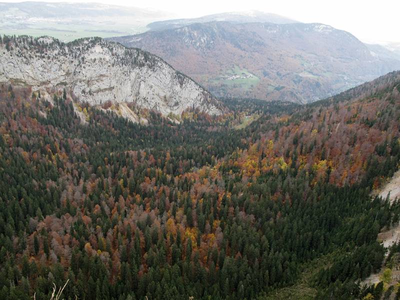 Die Farben von Herbst