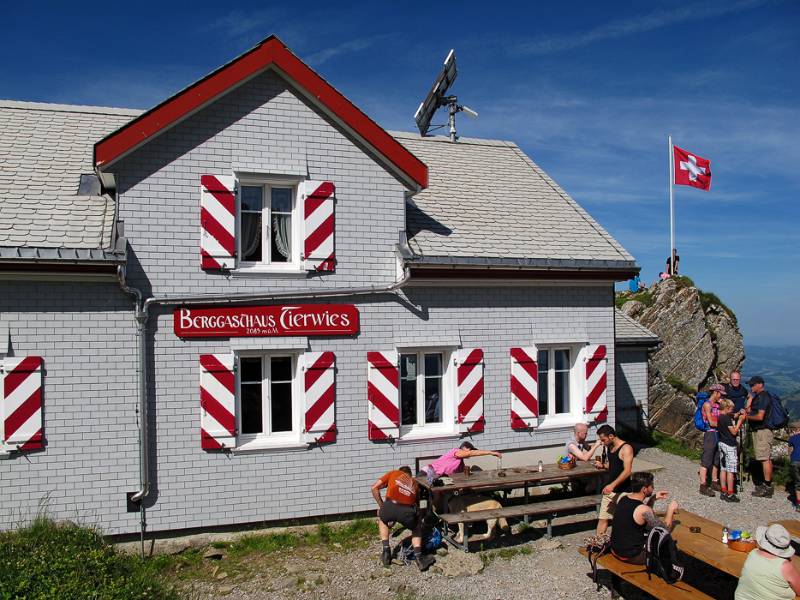 Das bunte Haus von Tierwis