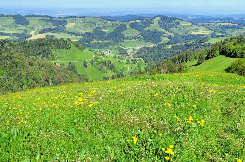 160526-Wanderung-Huetchopf_6538_39_40