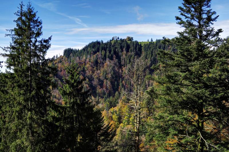 Blick Richtung Napf im Abstieg
