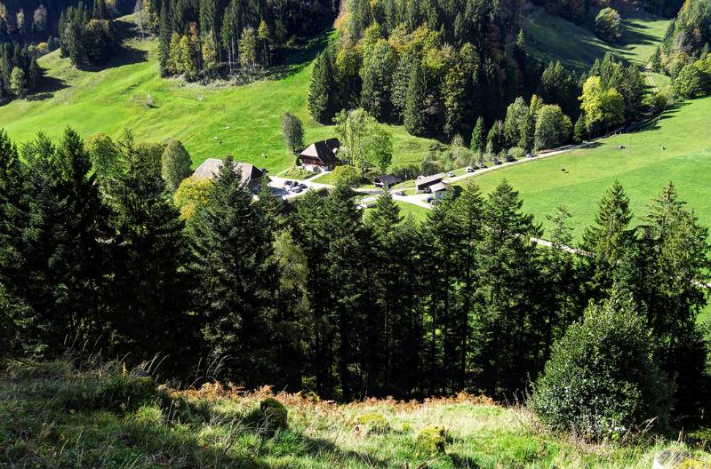 Mettlenalp