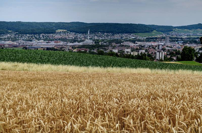 Dietikon