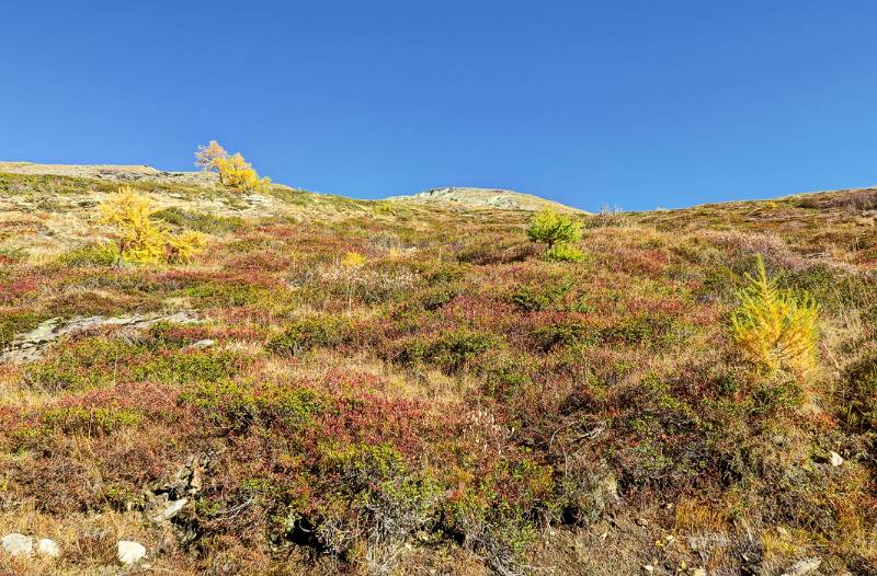 Farbiger Hang oberhalb von See