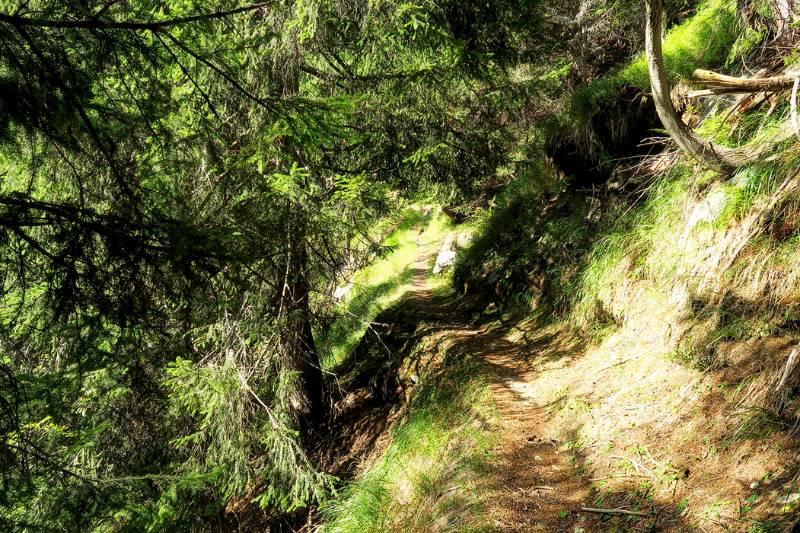 Auf schönem Wanderweg Richtung Rifugio Alpe Sponda