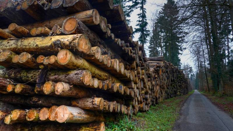 Sehr langer Holzstapel