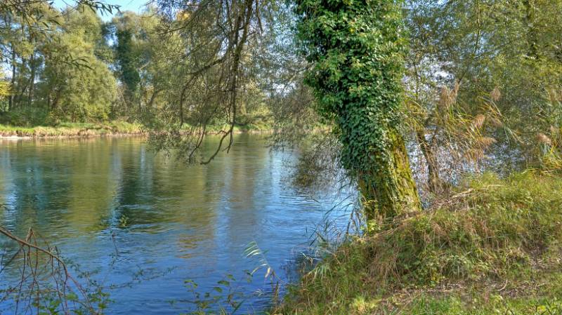 Am Ufer von Reuss