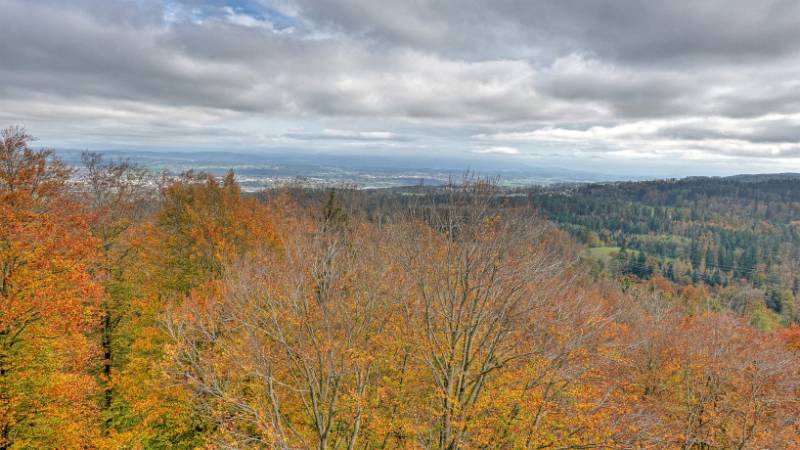 Views vom Loorenkopfturm