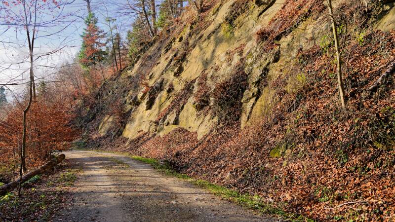 Die Waldstrasse auf der Flanke von Lägern
