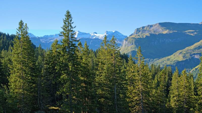 Chamliberg in der Ferne