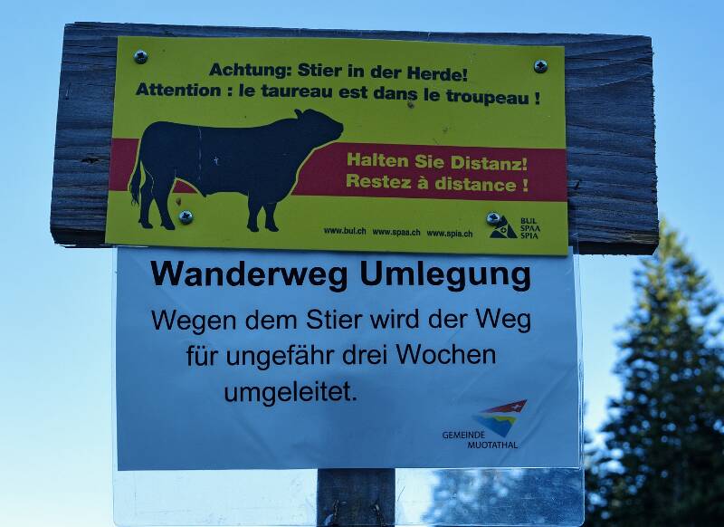 250831-rundwanderung-boedmerenwald-00691_2_3