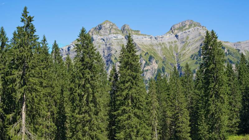 Die Gegenseite der Pragelpassstrasse