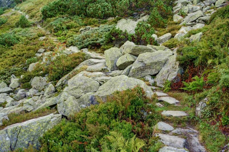 Auf der ganzen Strecke sehr gut gepflegter Wanderweg