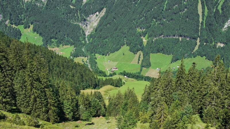 250718-Wanderung-auf-Horn-im-Isenthal-05779_80_81