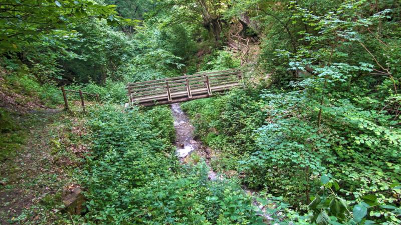 250614-drei-burgen-wanderung-in-bellinzona-04564_5_601_ek_Balanced