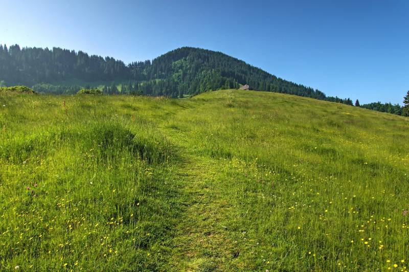 Über weiche Wiese
