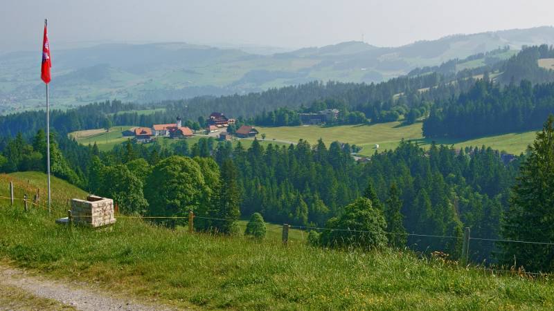 Bei Reistegg